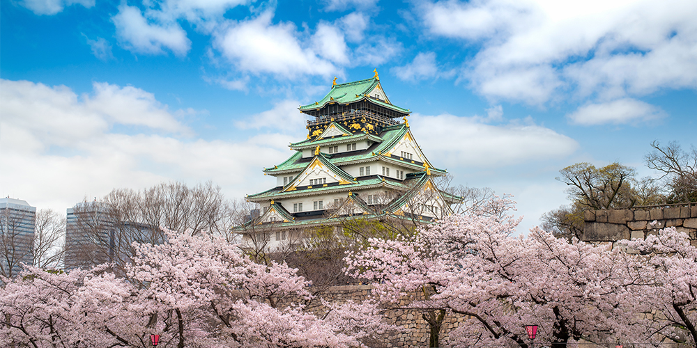 Cerejeiras em Flor no Jap�o 