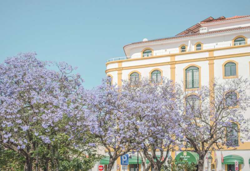  Loul� Jardim Hotel