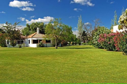  Pedras D'el Rei Aldeamento