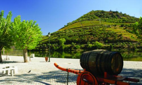  Rgua - Pinho - Rgua (Subida e Descida) - Dirio