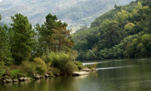  Porto - Rgua - Porto (Subida) - Segunda a Sexta