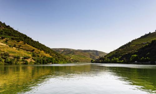  Porto - Pinho - Porto (Subida) - Segunda a Sexta Feira