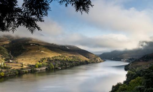  Porto - Pinho - Porto (Subida) - Sbado ou Domingo