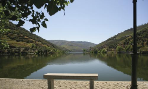  Rgua - Pinho (Subida) - Dirio