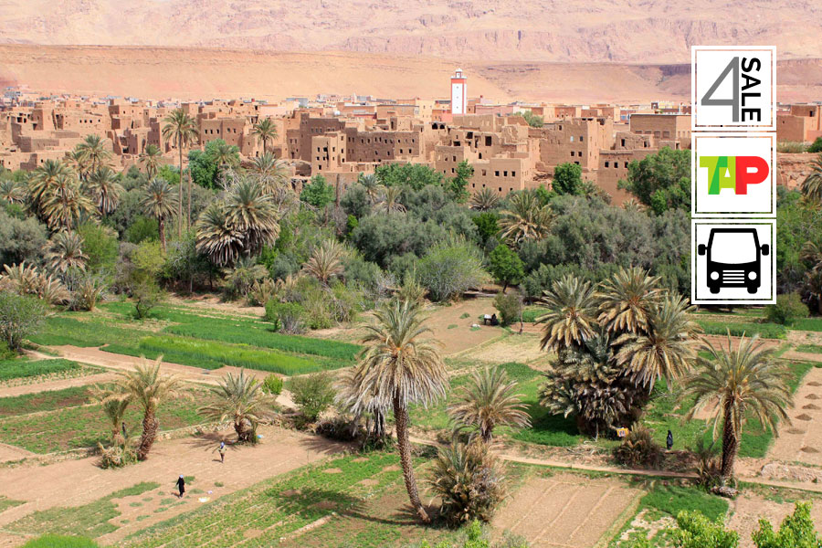 5021: Marrocos Kasbah & Oasis
