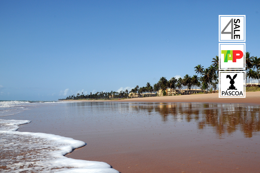 5229: Praias de Salvador Páscoa