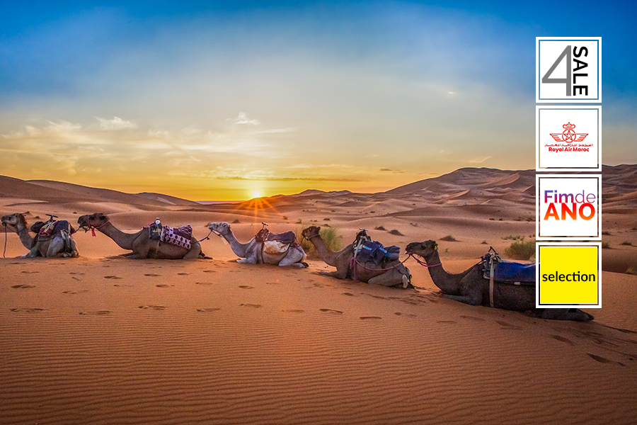 5609: Deserto e Alto Atlas [Sul de Marrocos]
