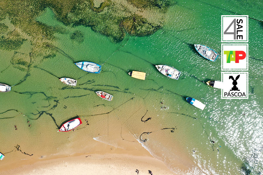  5649: Praias de Salvador [P�scoa]