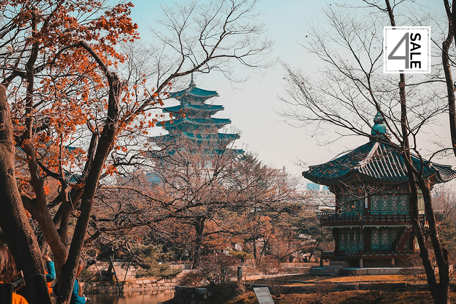  5650: Coreia do Sul Completa