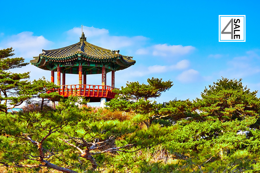 5651: Coreia do Sul Multicolor