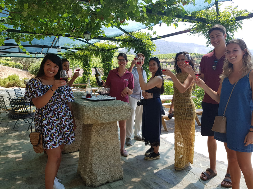 Shared Full Day Douro Valley Wine & Cruise Tour - driver-guide