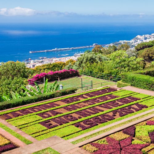 Madeira: Jardim do Atl�ntico