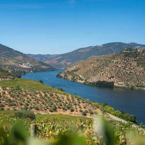 Highlights of Portugal with Douro Cruises