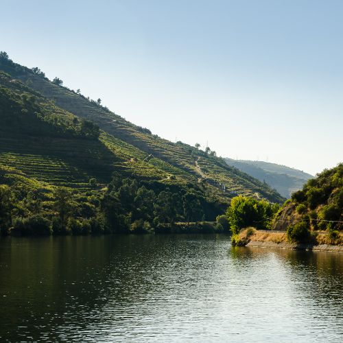 North of Portugal with Douro Cruises