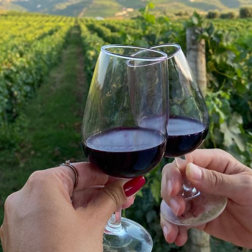 Vinhos do Norte
