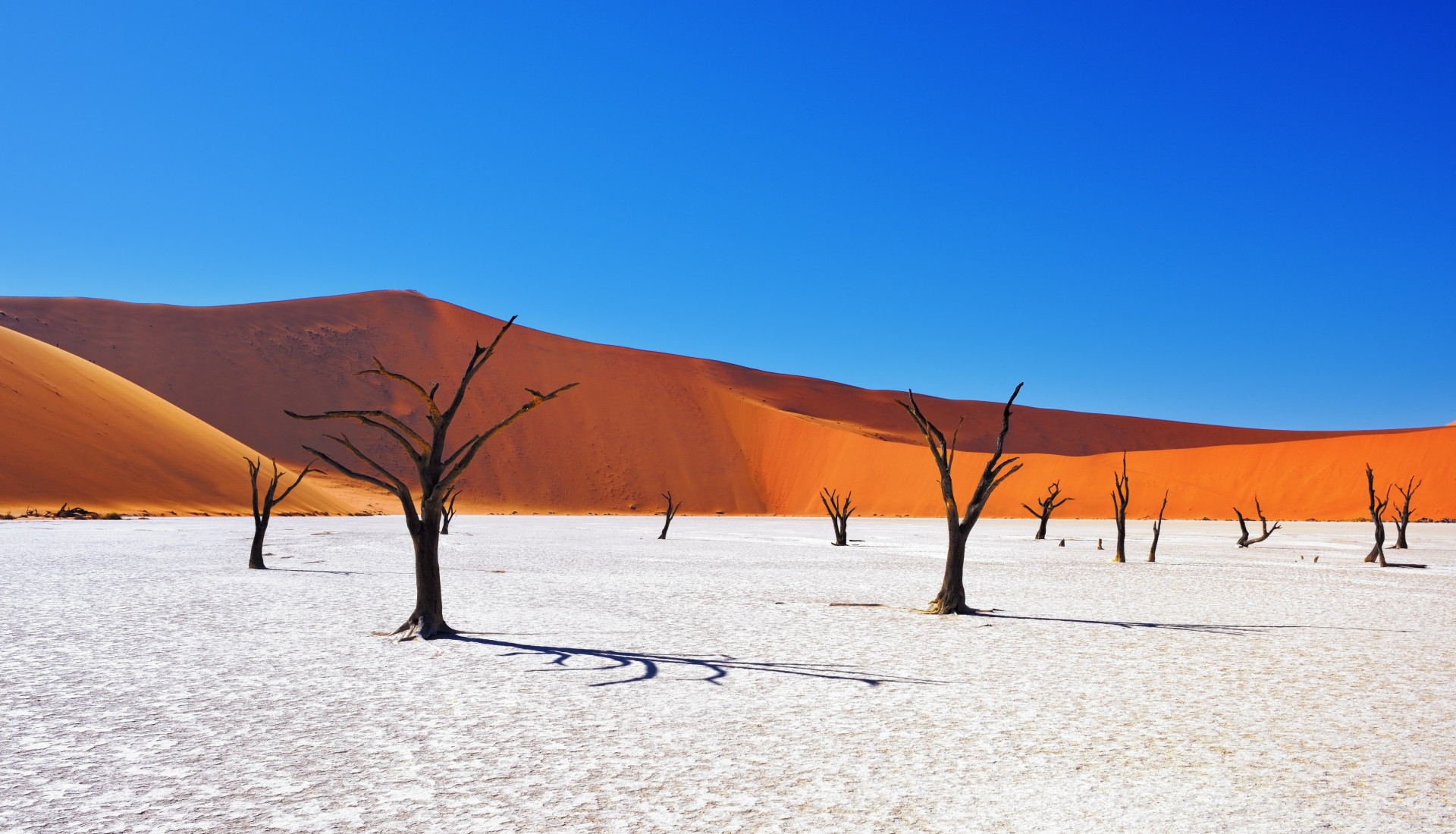 Deserto da Namíbia  