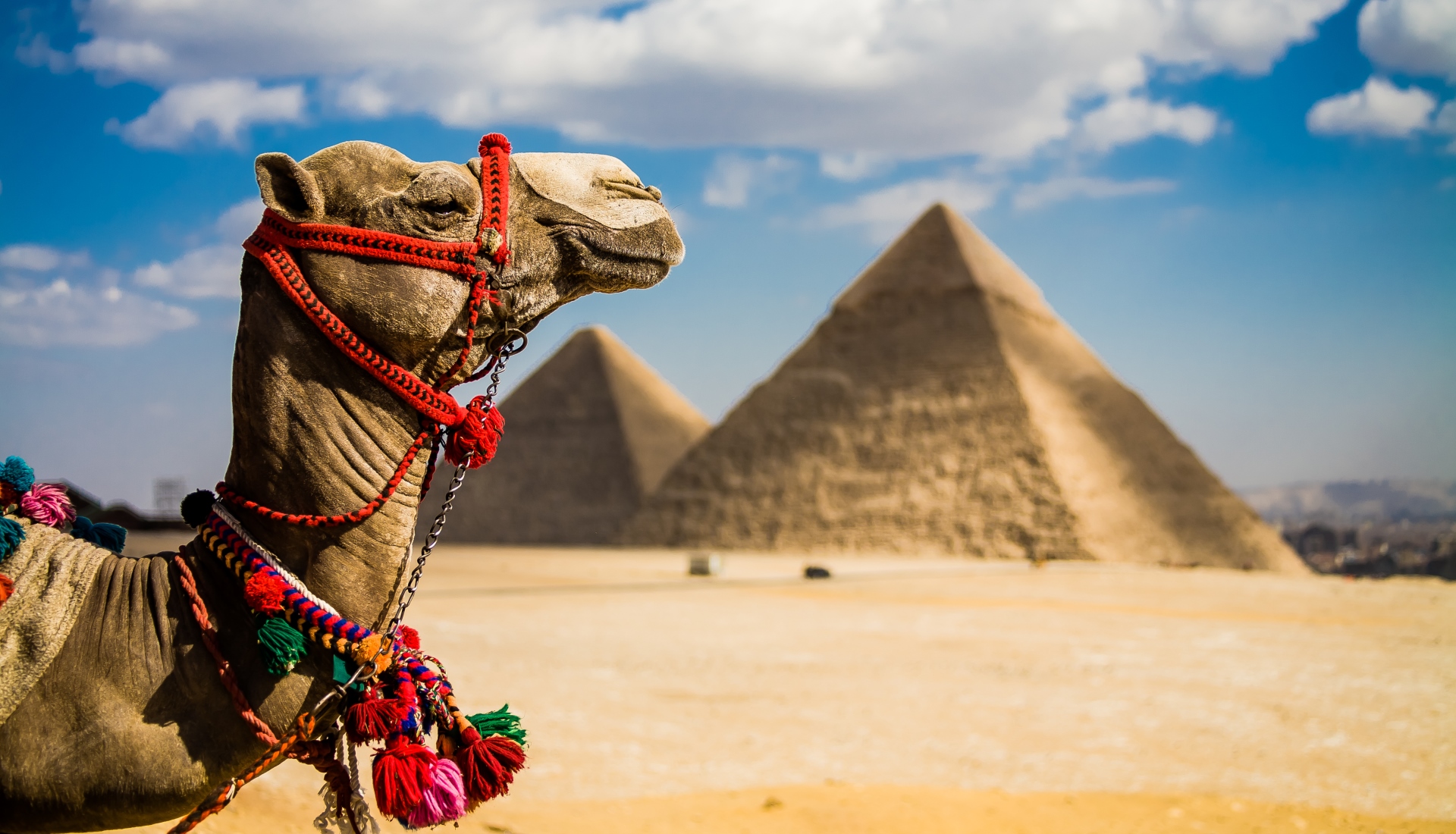 Egipto Mágico - até Jun 2021