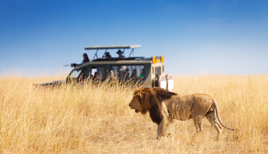 SAFARI CHAZA