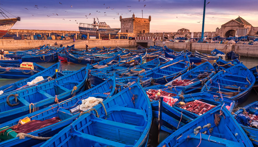 DESCUBRE MARRUECOS DESDE CASABLANCA 