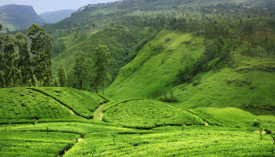 SRI LANKA ESENCIAL
