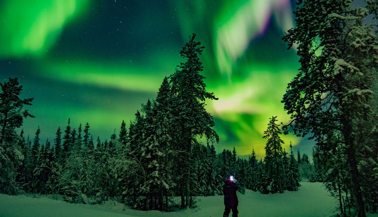 Canad - Auroras Boreais com Vancouver 2024/2025