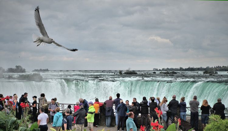 Canad - Rota do Leste 2026
