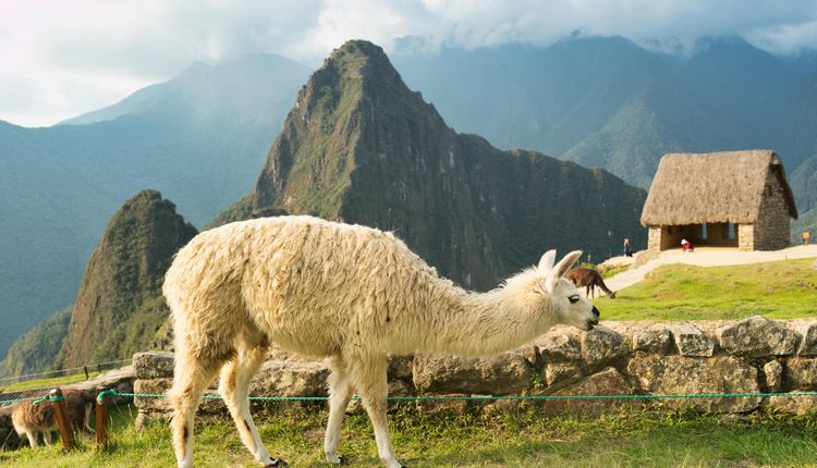 Peru - Peru Especial - Segundo passageiro com 40% de desconto