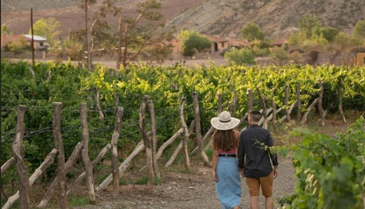 Argentina - Mendoza e Vinhos - VENDA ANTECIPADA