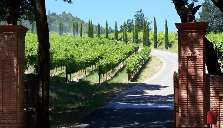 Road Trips - Trilha do Vinho da Costa Oeste