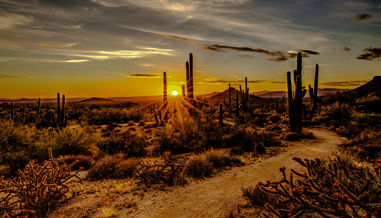 Road Trips - Riquezas Ancestrais, Cidades e Culturas Nativas