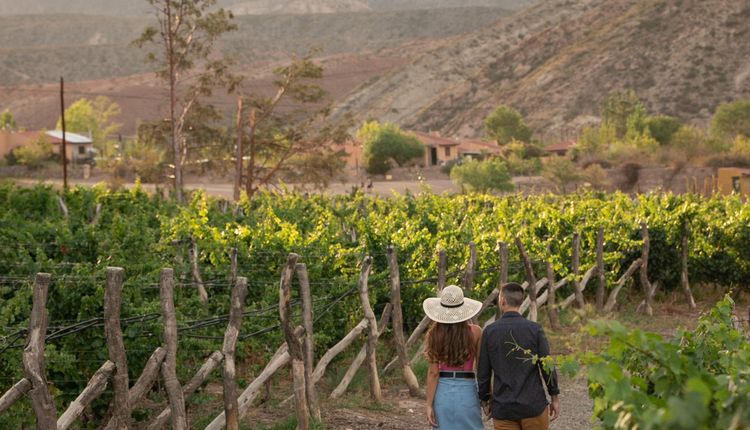 Argentina - Mendoza, dois Vales