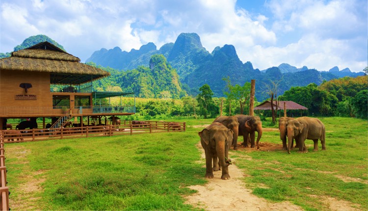 Phuket e Khao Sok (Elephant Hills Camp)