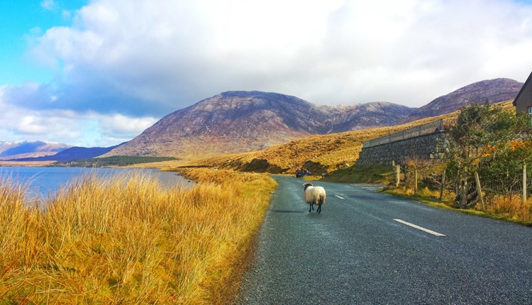 Sabores da Irlanda (Pscoa)