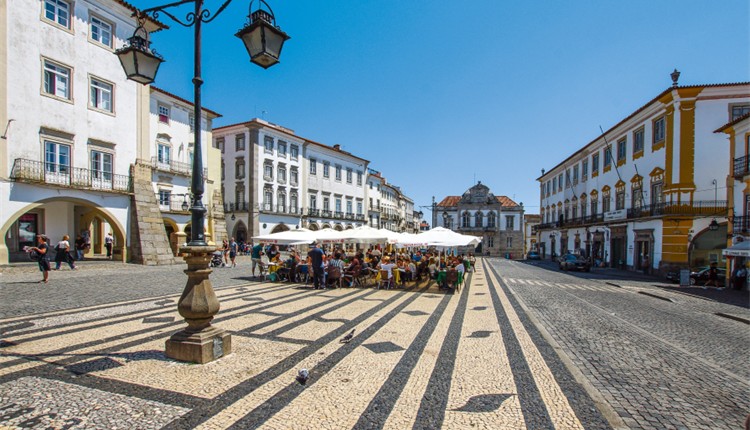 Belezas do Sul com vora 2025/26 (R-1025)