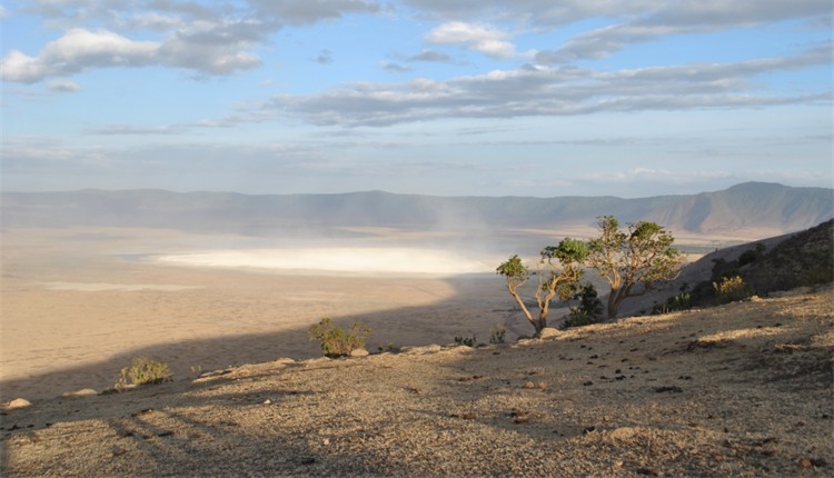 Tanznia Clssica
