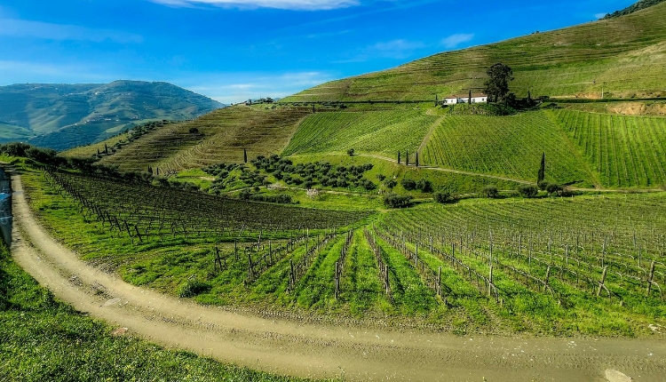 Do Alentejo ao Douro 2026 (R-1092)      (Partida de Lisboa)