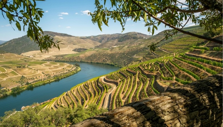 Do Alentejo ao Douro 2026 (R-1092-1)      (Partida do Porto)