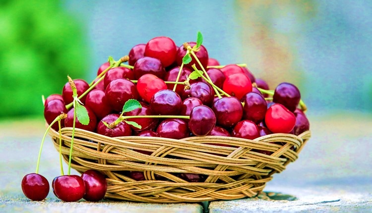 Cereja da Cova da Beira 2026 (T-1041)