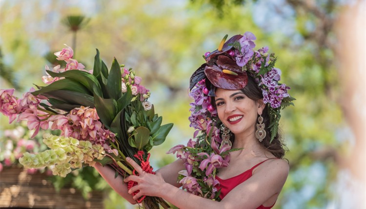 � espera da primavera? Marque a sua viagem � Festa da Flor no Funchal