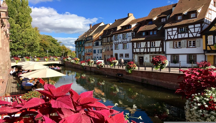 Entre vinhas, cidades hist�ricas e charme franc�s