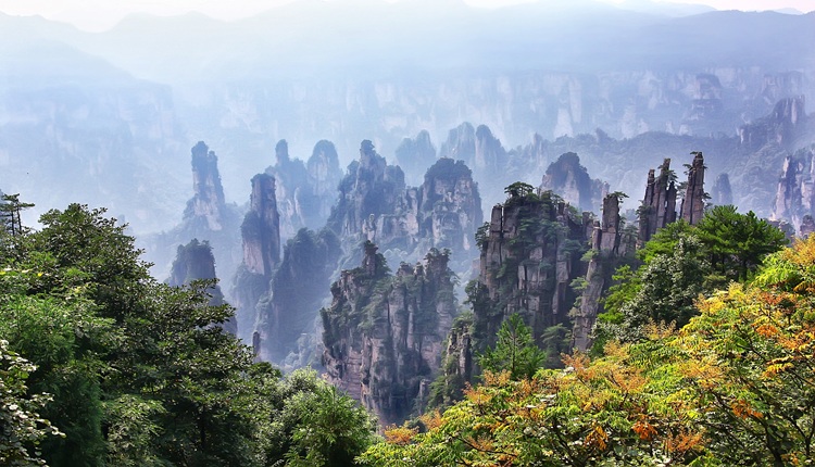 China Cl�ssica com Avatar
