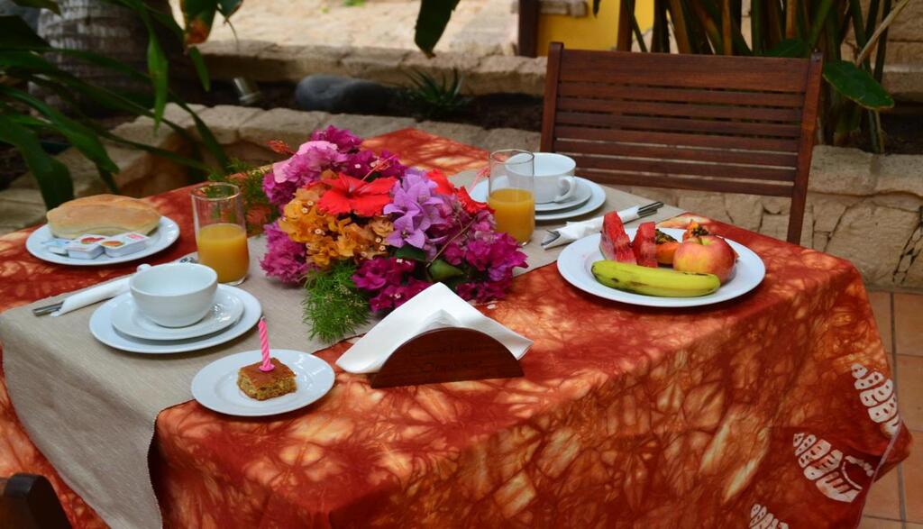 Guest House Orqu�dea