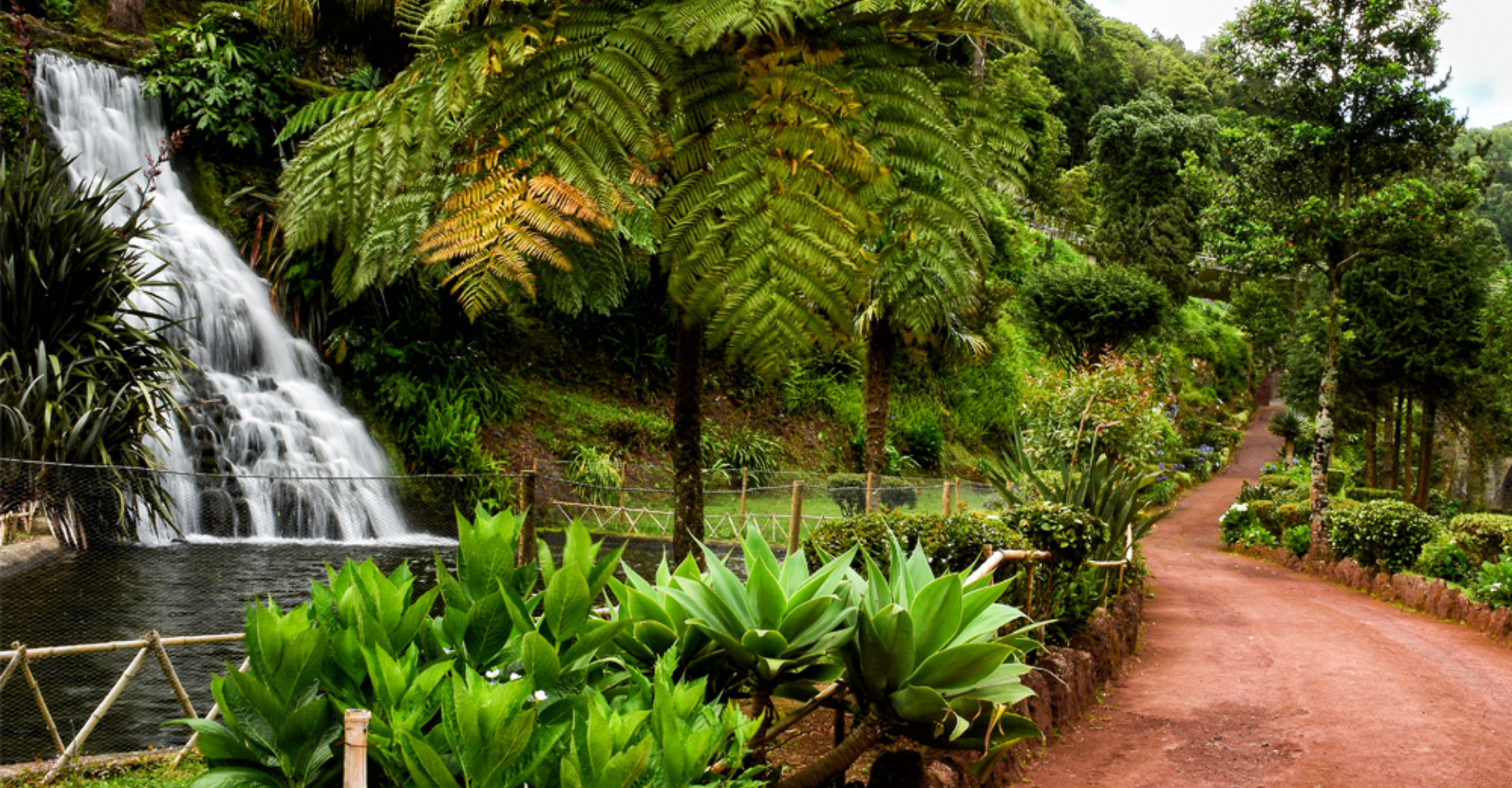 Jardim Bot�nico da Ribeira do Guilherme