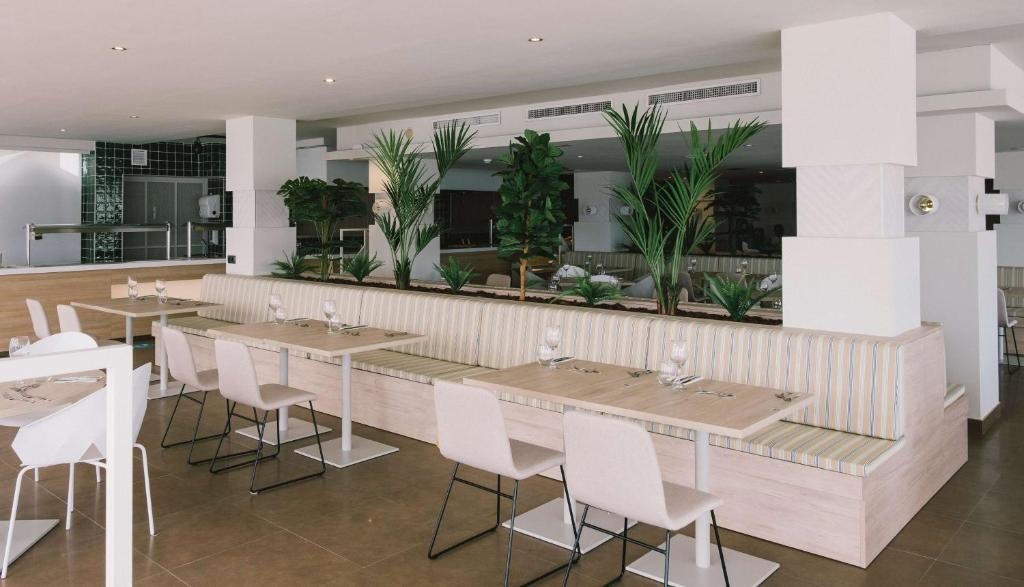 Alua Soul Palma (Adults Only)