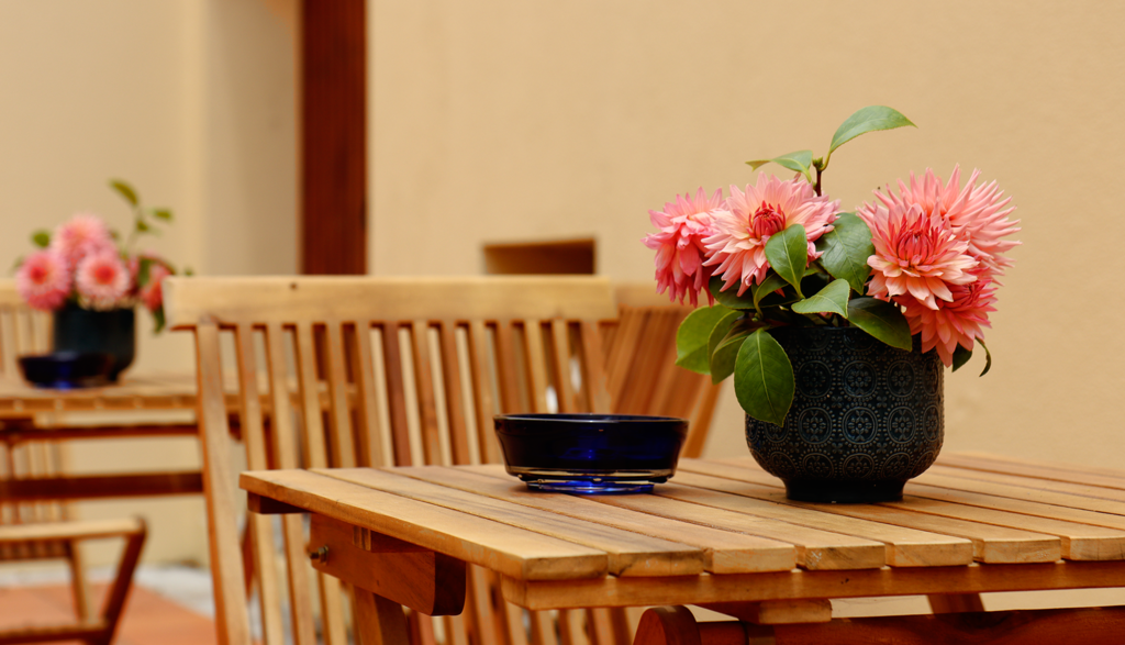 Quinta da Nasce Agua