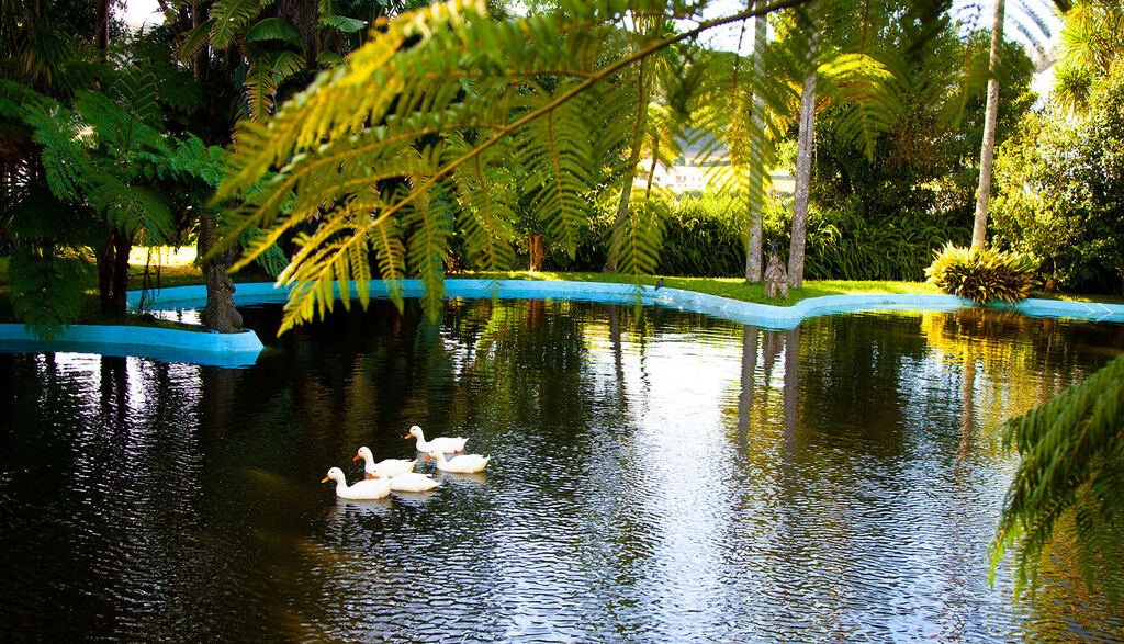Quinta da Nasce Agua