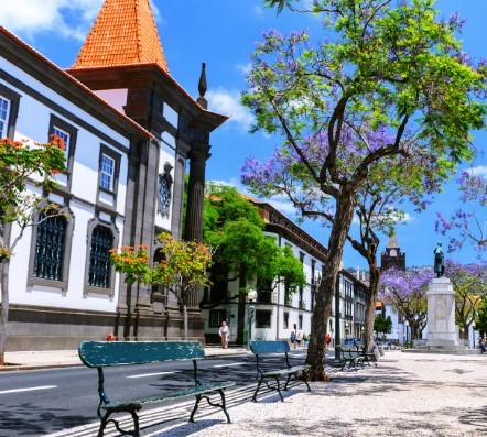 Photo of [subject] Ilha da Madeira