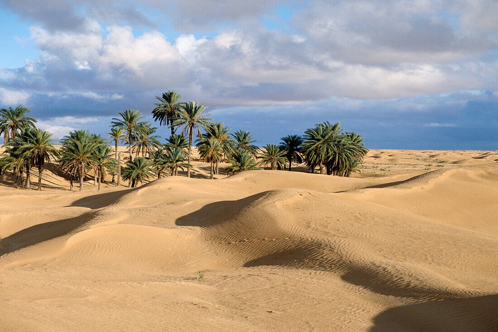 Matmata  Douz (1 Dia)