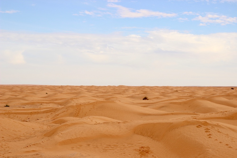 Trilhas Berberes em 4x4 (1 Dia)