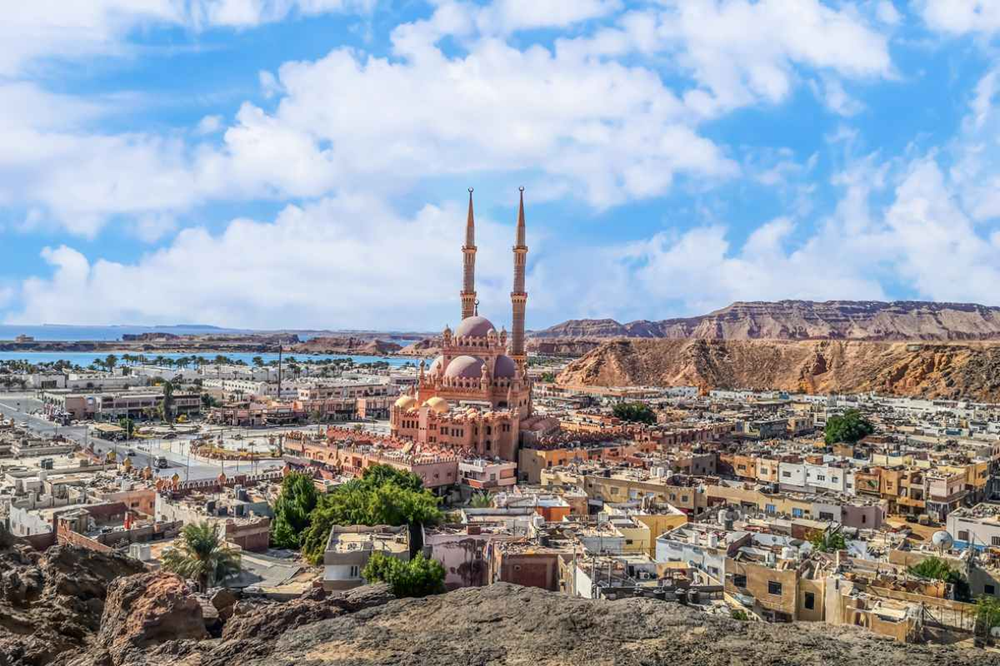 City Tour (Meio Dia)